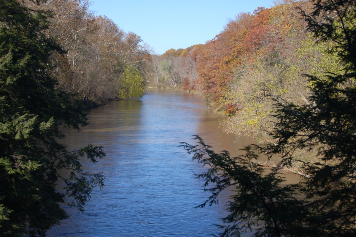 8. A Sugar Creek Memoir Endless Forms Most Wonderful Reflections in